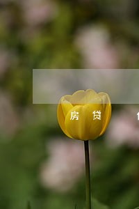 房贷 信用卡逾期 影响 房贷 信用卡逾期 影响
